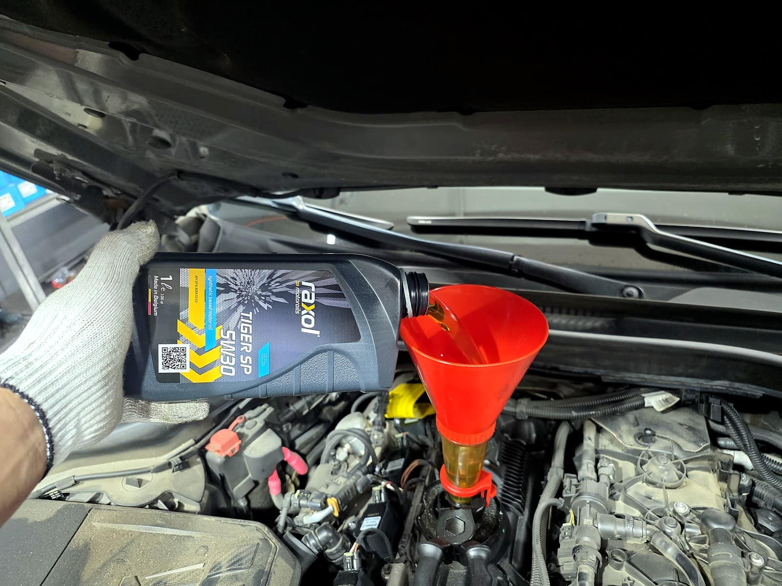 BMW 530i에 새 엔진오일을 주입하는 모습